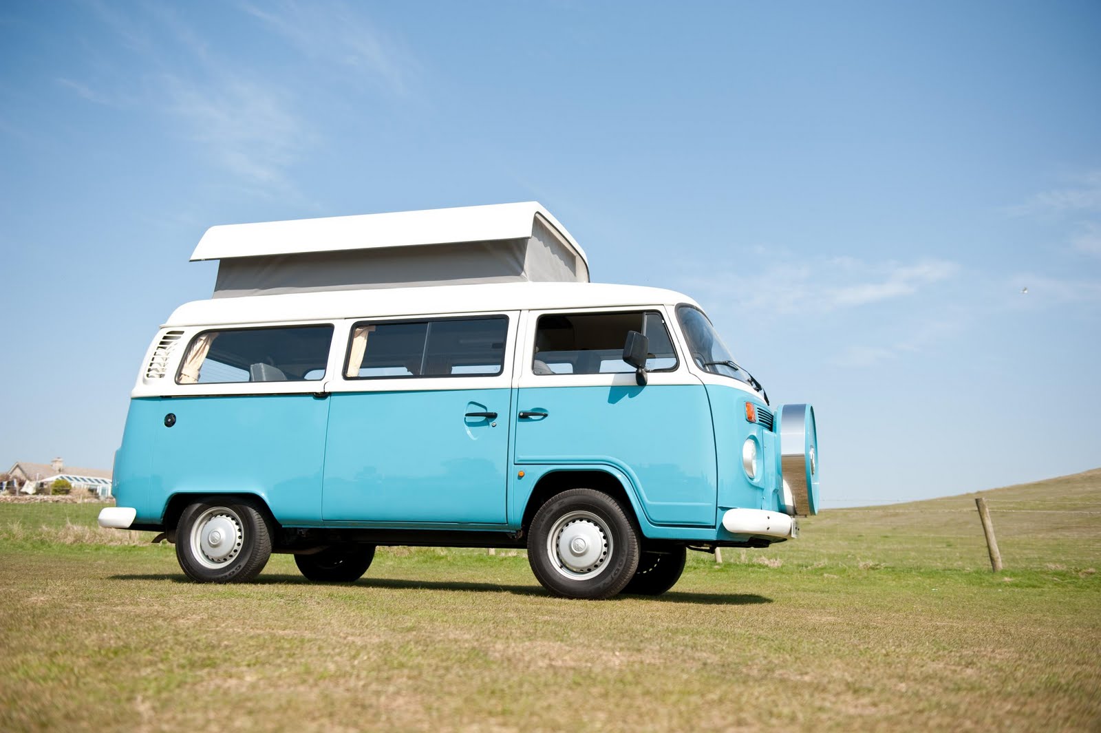 Bee and Buzz Win a Camper Van!